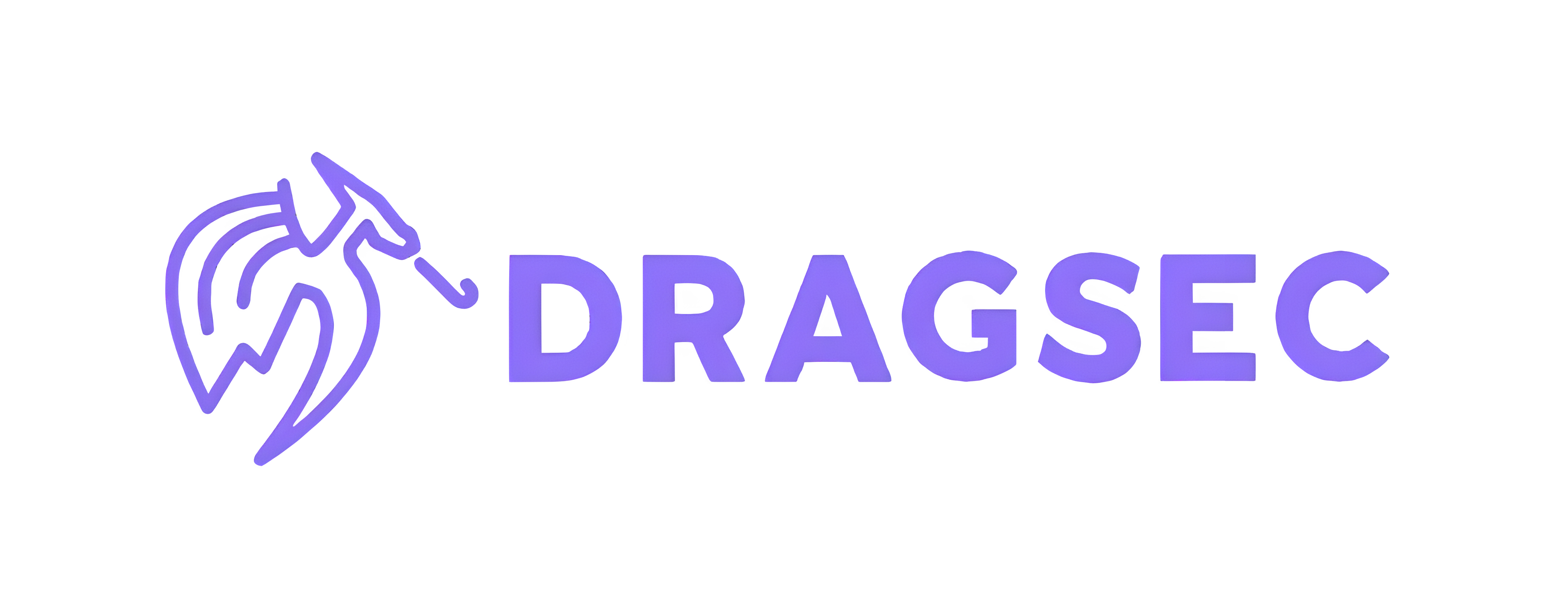 DragSec Logo